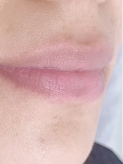 Lippen voor de lipblush: bleek en zonder duidelijke contour